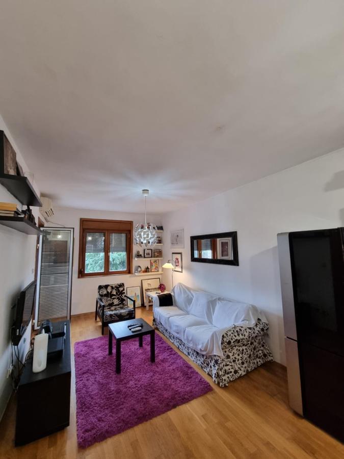 One Bedroom Centre Apartment Подгорица Экстерьер фото
